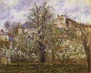 Vegetable Garden and Trees in Blossom, Camille Pissarro